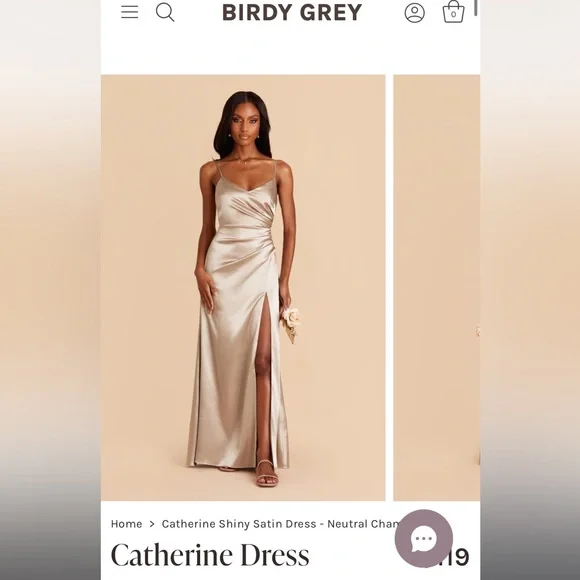 Birdy Grey Neutral Champagne Dress - Picture 2 of 6